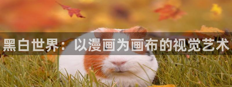 包子漫画免费阅读漫画入口：黑白世界：以漫画为画布的视觉艺术